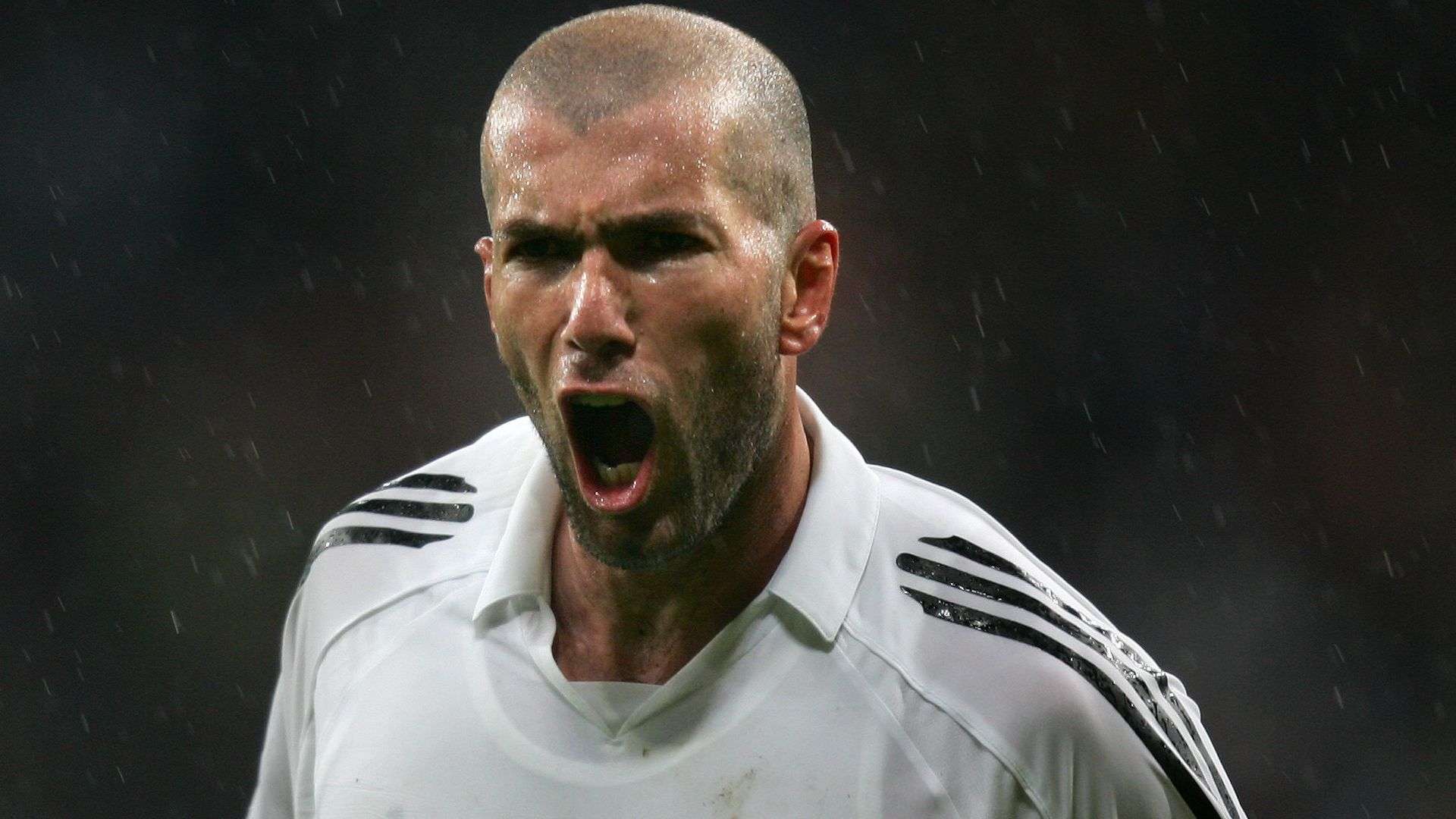 管理和引导 管理和引导