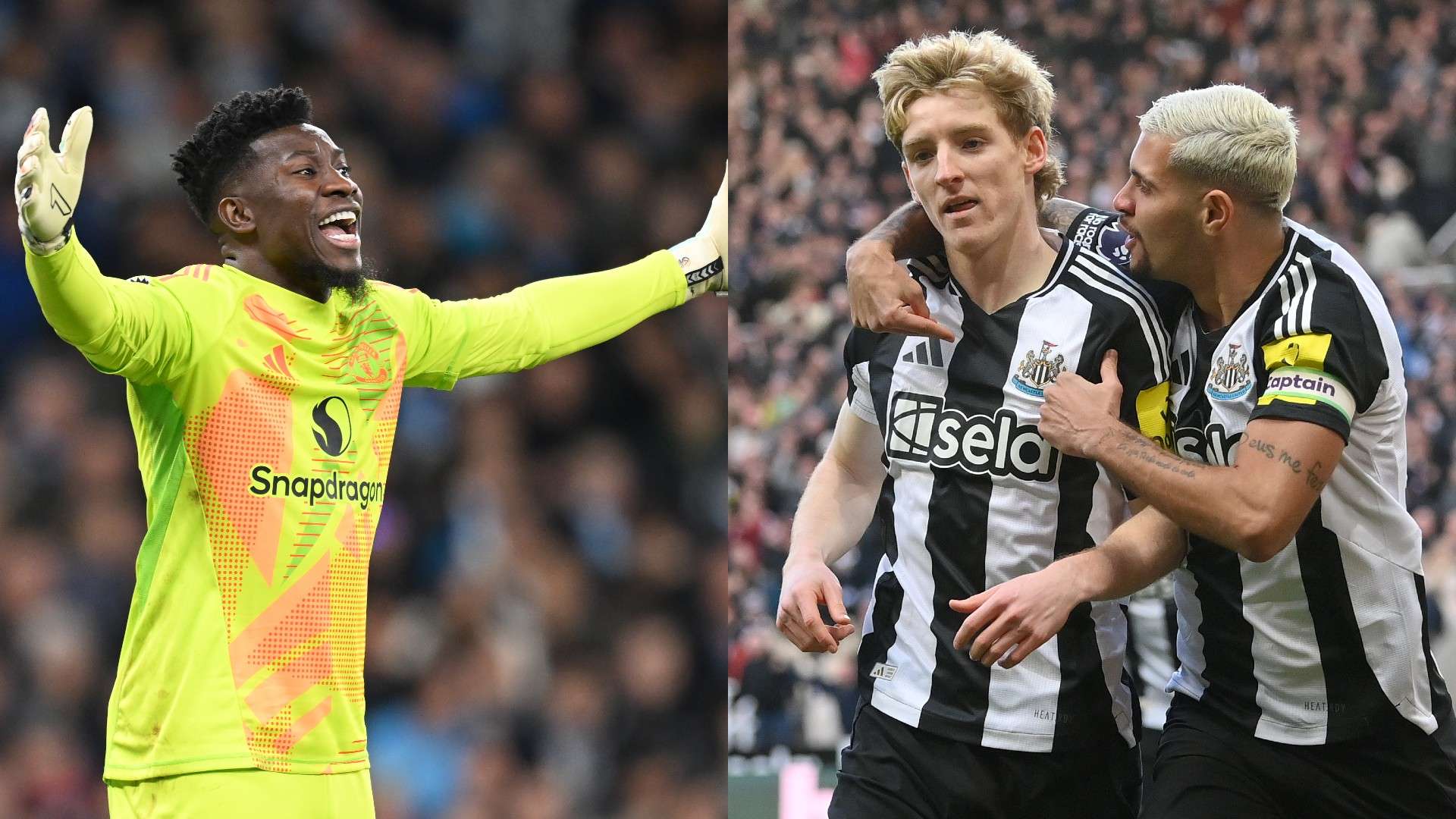 短期投资而 短期投资而